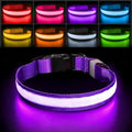 PcEoTllar Light up Dog Collar, for Night Walking, Adjustable, Purple, L | Colorful RGB Light, Waterproof, For Small Medium and Large Dogs, Durable Material, USB to Charge by PcEoTllarPetSupplies