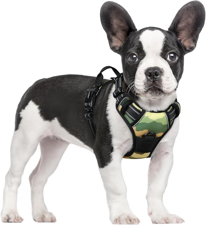 rabbitgoo Dog Harness, No Pull for Small Dogs with 2 Leash Clips, Pet Vest | No Choke with Handle, Adjustable Soft Padded, Reflective, Easy Control for Walking, Green Mountain, Small by rabbitgoo