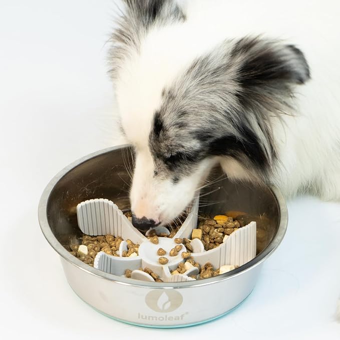 LumoLeaf Slow Feeder Dog Bowl Insert, Cuttable Silicone Dog Slow Feeder with Suction Cups, Soft Slow Eating Feeder for Dry & Wet Food, Fits Most Regular & Elevated Bowls, Small Medium Large Dogs (1) - Image 9