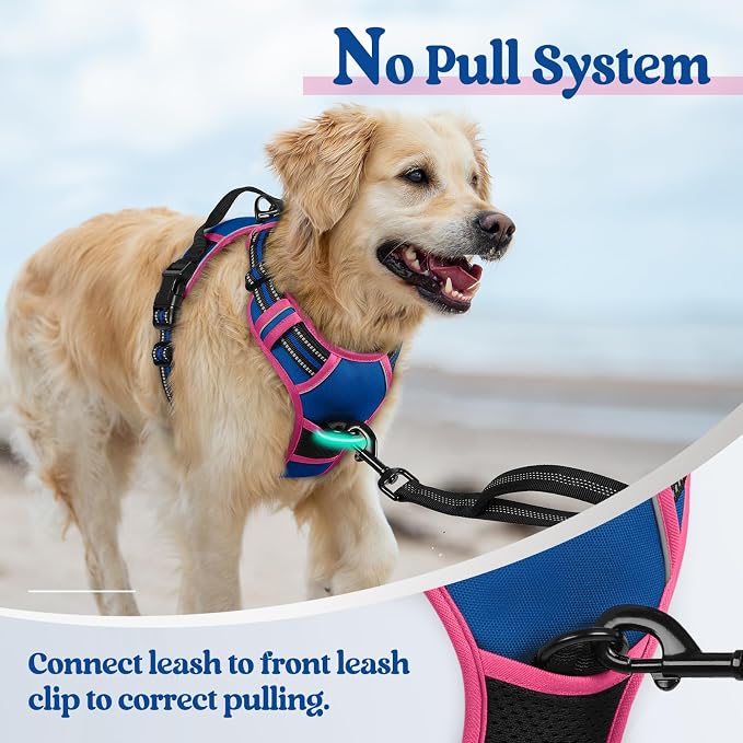 rabbitgoo Dog Harness, No Pull for Large Dogs with 2 Leash Clips, Pet Vest | No Choke with Handle, Adjustable Soft Padded, Reflective, Easy Control for Walking, Blue & Hot Pink, X-Large - Image 5