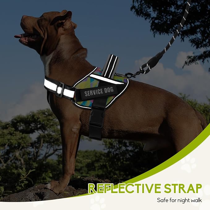 Service Dog Vest Harness and Leash Set, Animire in Training Dog Harness with 10 Dog Patches, Reflective Dog Leash with Soft Handle for Small, Medium, Large, and Extra-Large Dogs (Multi-Colored,XL) - Image 6