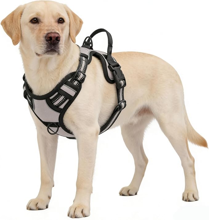 Gray No-Pull Dog Harness with 2 Leash Clips，Soft Padded Vest for Large Dog, Adjustable Reflective Dog Vest Easy to Put on and Take Off,Neck: 18"~26", Chest: 25"~34",Gray XL by Unknown