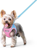 rabbitgoo Dog Harness Small Sized and Leash Set, Step-in Puppy Pet Vest | Light, Soft, Breathable Air Mesh, Easy on and Remove with Hook & Loop, Secure Reflective for Walking, Blue & Light Pink XS by rabbitgoo