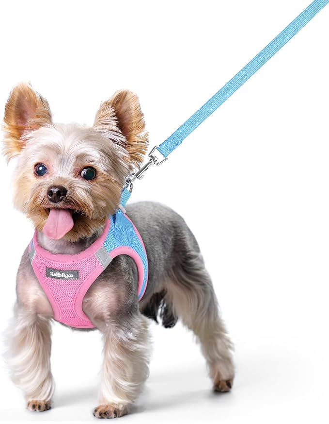rabbitgoo Dog Harness Small Sized and Leash Set, Step-in Puppy Pet Vest | Light, Soft, Breathable Air Mesh, Easy on and Remove with Hook & Loop, Secure Reflective for Walking, Blue & Light Pink XS by rabbitgoo