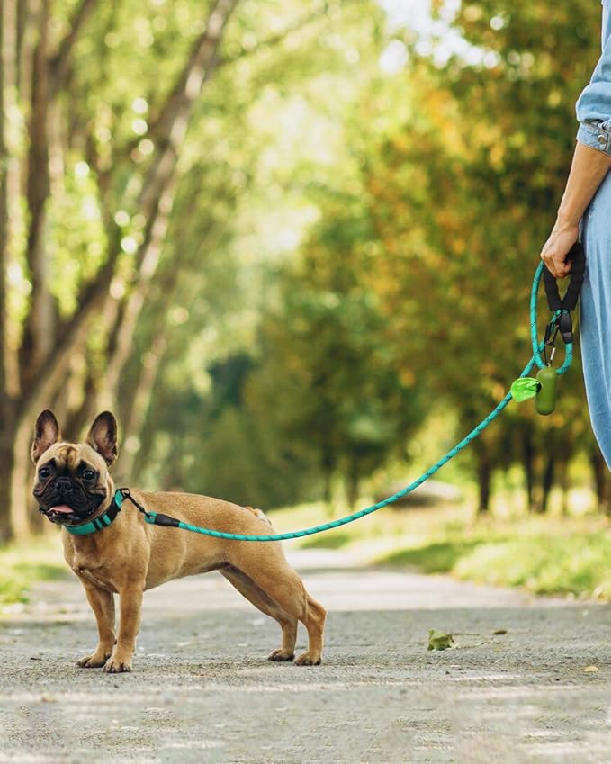 Dynmeow Reflective Dog Collar and Leash Set for Small Dogs, Teal | Soft Neoprene Padded, 6FT Climbing Rope, Ideal for Daily Outdoor Walking or Indoor Wearing, Night Visible for Safety - Image 5