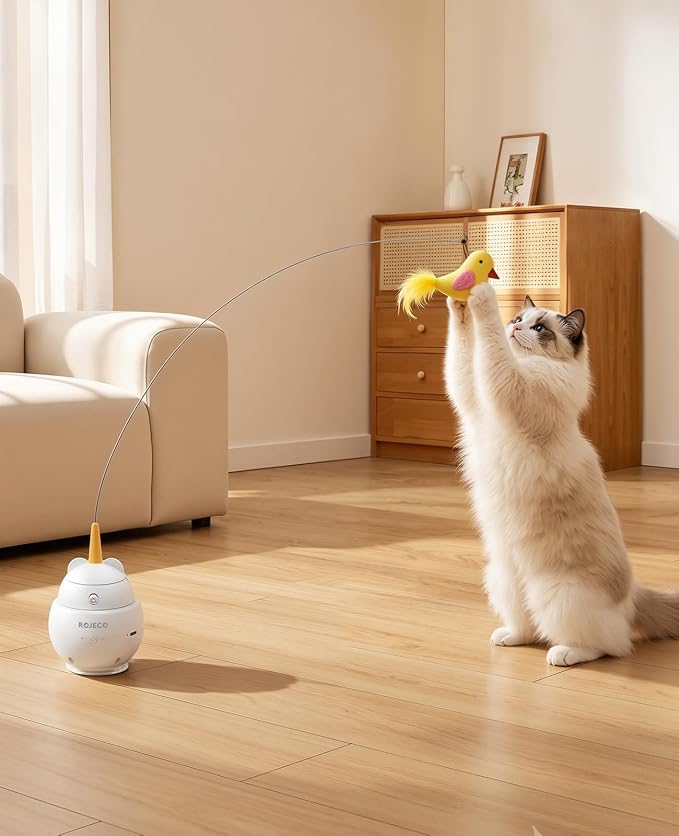 ROJECO Interactive Cat Toys,2 in 1 Automatic Cat Toy with Flying Bird | 360°Rotation/3 Operating Modes/Customizable DIY/Suction Cup/800mA Battery/TypeC Rechargeable/Removable Clean/Service Warrant - Image 9