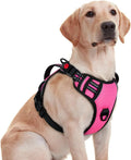 rabbitgoo Large Dog Harness, Easy Wear with 3 Buckles and Lift Handle | No Pull with Front Clip for Walking, Adjustable Soft Padded, Reflective, Easy Control, Pink, Medium by rabbitgoo