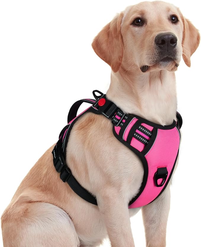 rabbitgoo Large Dog Harness, Easy Wear with 3 Buckles and Lift Handle | No Pull with Front Clip for Walking, Adjustable Soft Padded, Reflective, Easy Control, Pink, Medium by rabbitgoo