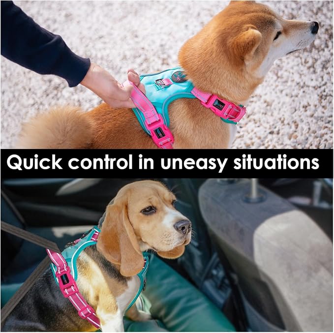 No Pull Dog Harness, Unique Colors Reflective Adjustable Dog Vest | with Soft Training Handle Metal Clips for Small Medium Large Dogs (Mint Green Base & Pink Straps,S) - Image 5