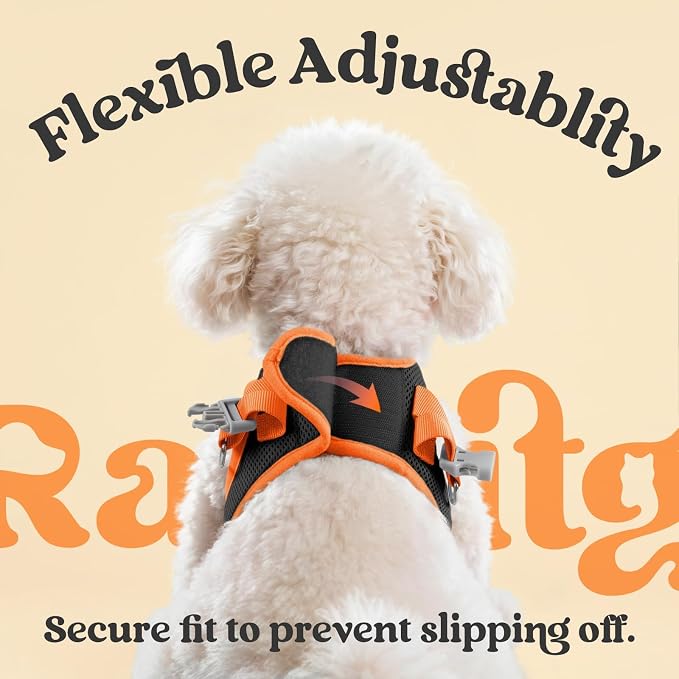rabbitgoo Dog Harness Small Sized and Leash Set, Step in Soft Vest | Breathable Mesh, Easy Wear with Hook & Loop, Light and Reflective for Walking, Multi-colored, Black & Orange, L - Image 5