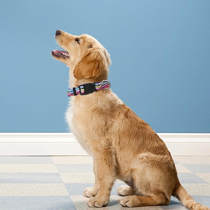 Reflective Dog Collar, Adjustable Neoprene Padded,Colorful Wave Pattern,S | Breathable Nylon for Small Dogs,Tear-Resistant Webbing,Chafe‑Free on Walks and Hikes,Metal D-Ring,Night Safety - Image 2