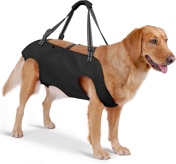Full Body Dog Lift Harness, Support Senior & Disabled Dogs Walking | Help Up & Down Stairs Grooming, Dog Sling Backpack, Front Hind Leg Joint Injuries, Reflective, Soft Padded Handle | Black, XL by Mayerzon