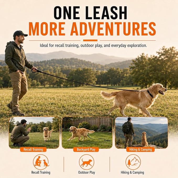 Long Line Dog Training Leash with Padded Handle, 50 ft, Black | Durable nylon webbing with reinforced stitching and 360° swivel clip for recall and obedience - Image 6
