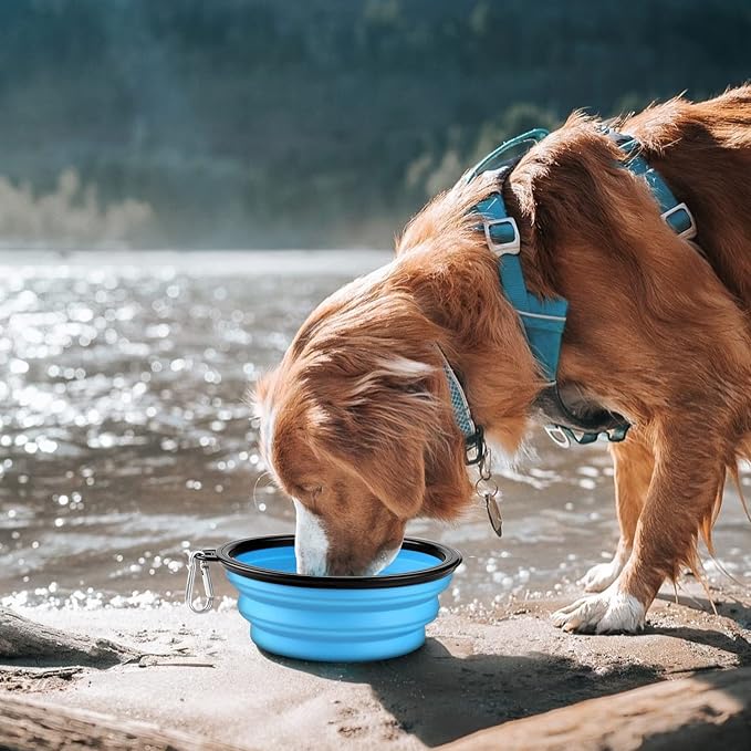 COOYOO Collapsible Dog Bowl,2 Pack Collapsible Dog Water Bowls for Cats Dogs,Portable Pet Feeding Watering Dish for Walking Parking Traveling with 2 Carabiners - Image 2