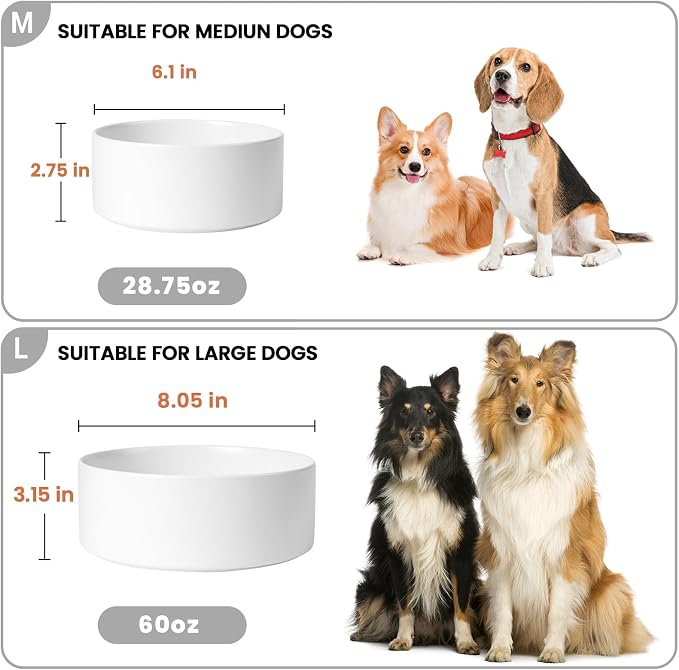 Ceramic Dog Bowls Replacement Set of 2, Compatible with Medium Elevated Stand, 60 oz Heavyweight Food-Grade Feeding Bowls for Small & Medium Dogs, Microwave & Dishwasher Safe (White, 7.6 Cups) - Image 2