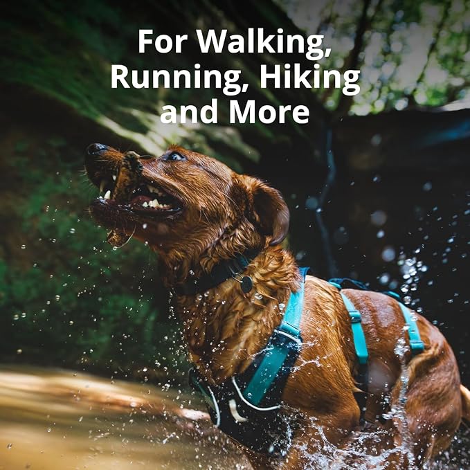 Ruffwear, Flagline Dog Harness, Lightweight and Reflective, No Pull Dog Lift Harness for Hiking, Running and Everyday Use, Sage Green, Medium - Image 3