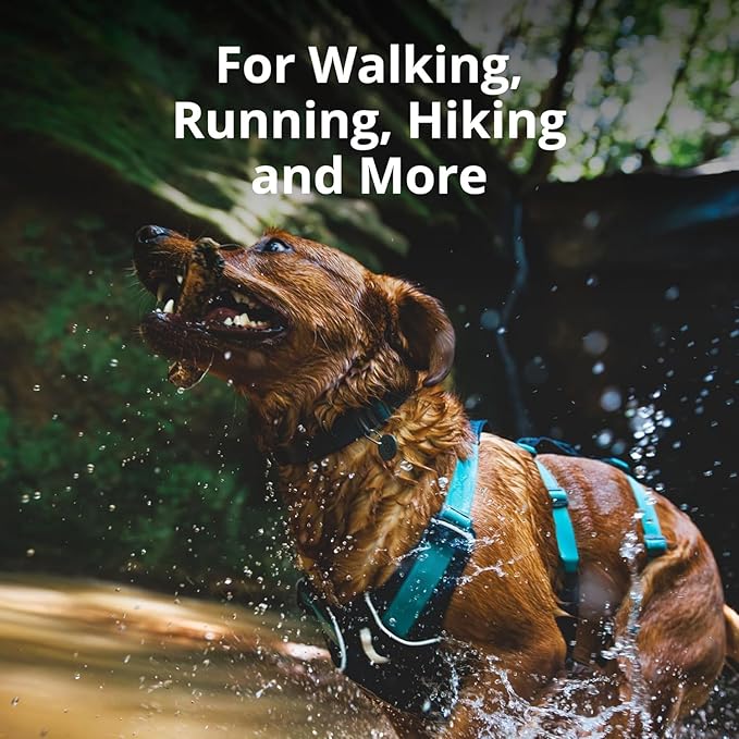 Ruffwear, Flagline Dog Harness, Lightweight and Reflective, No Pull Dog Lift Harness for Hiking, Running and Everyday Use, Lichen Green, Medium - Image 3