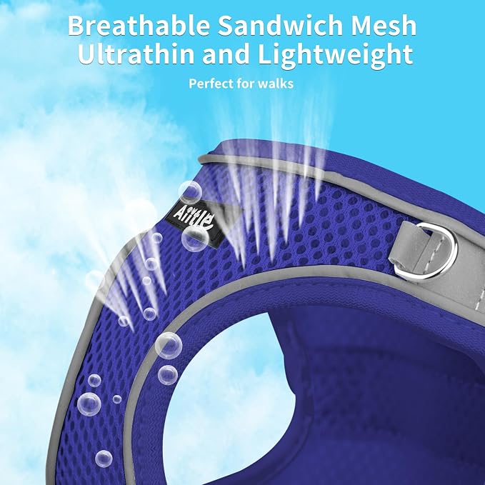 AIITLE Dog Harness and Leash Set, Step-in Puppy Pet Vest, Royal Blue XS | Light, Soft, Breathable Air Mesh, Escape-Proof, Easy on and Remove with Hook & Loop, Secure Reflective for Walking - Image 5