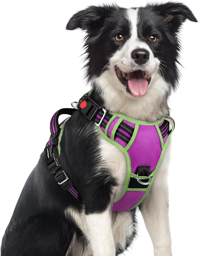 rabbitgoo Dog Harness Medium Sized, No Pull 3 Buckles Easy On & Off | Soft Padded, Walking with Control Handle, Adjustable and Reflective, Purple & Light Green, Medium by rabbitgoo
