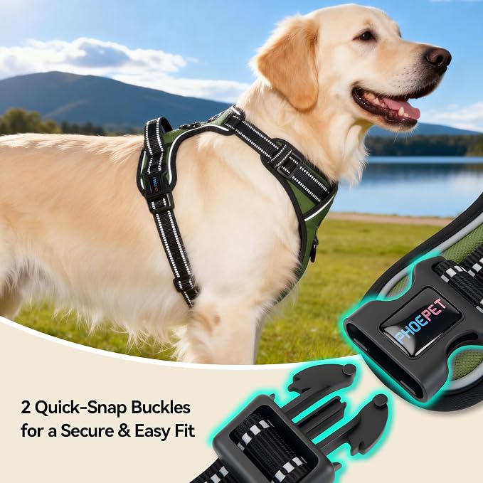 No Pull Dog Harness with Handle Reflective Padded Vest | for Small Medium Large Dogs, Adjustable Puppy Harnesses with Front & Back Clip Easy Walking (XL, Misty Green) - Image 5