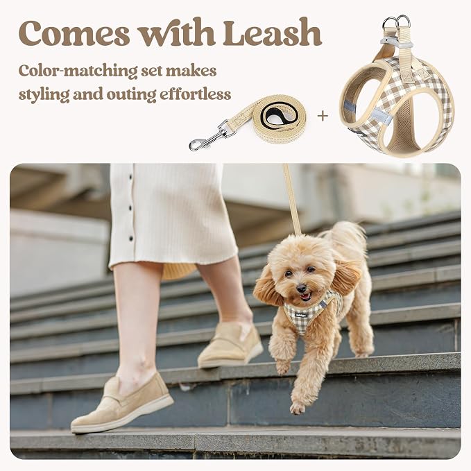 rabbitgoo Dog Harness Small Sized and Leash Set, Step-in Puppy Pet Vest | Light, Soft, Breathable Air Mesh, Easy on and Remove with Hook & Loop, Secure Reflective for Walking, Beige Check M - Image 6