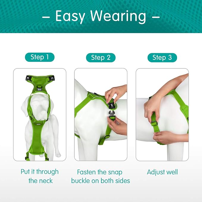 PoyPet Mesh Dog Harness, Reflective Breathable Puppy Vest for Large Dogs | Lightweight, Soft Air Mesh, Back D-ring, Adjustable, Comfortable, Double Padded, No Choke, for Daily Walking, L, Grass Green - Image 5