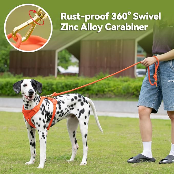 5FT Dog Leash Puppy Cat Rope Lead for Small Medium Large Dogs | Orange, with Anti-tangle Swivel Clip, Traffic Non-slip Grip Handle for Extra Control, Ideal for Daily Walks and Training - Image 5