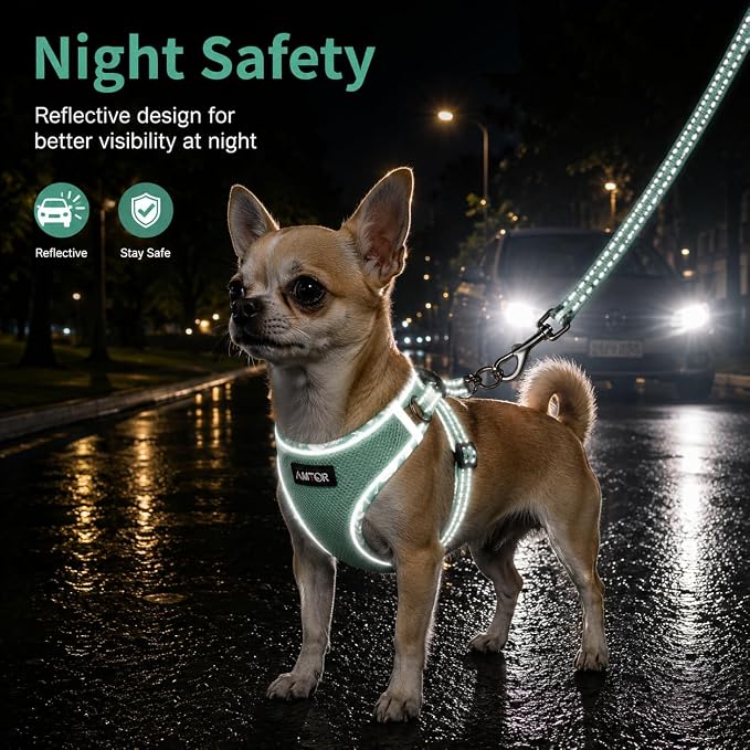AMTOR Small Dog Harness with Leash Set, No Escape Easy Walk Puppy Harnesses for Training Walking, Step-in Reflective Soft Dogs Vest for XS S Medium Extra-Small Large Sized Dog (Light Green,S) - Image 4