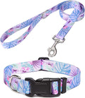 Mihqy Dog Collar and Leash Set, for Large Dogs, Purple Flower Set,L | with Floral Patterns, Adjustable for Small Medium Large Dogs, Comfortable for Walks and Outdoor Hikes by Mihqy
