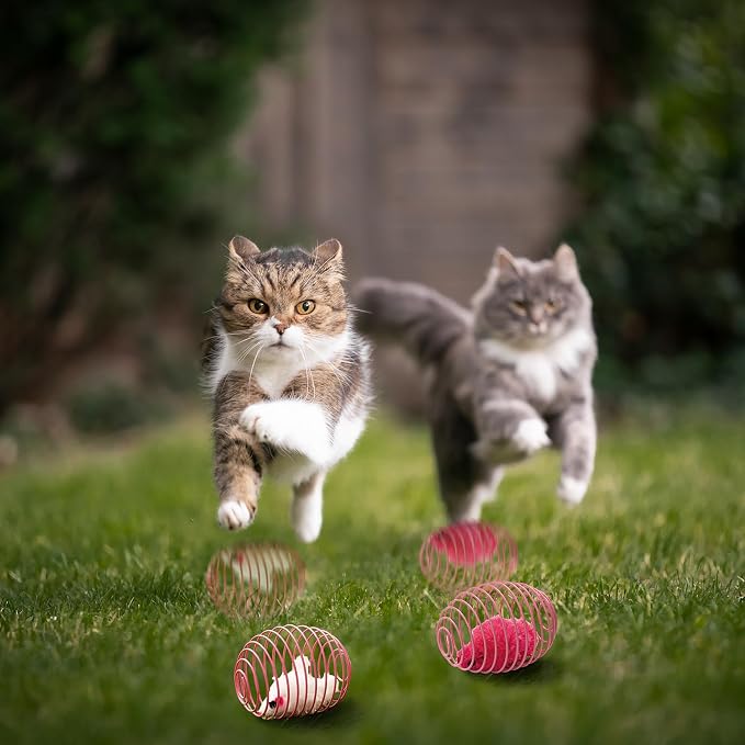 Jecery 5 Pcs Cat Toys Spring,Mouse,Pink | Interactive Metal Cat Toy, Stretchable Rolling Ball, for Indoor Cats, Colorful Playful Coils, Kitten Pet Supplies - Image 6