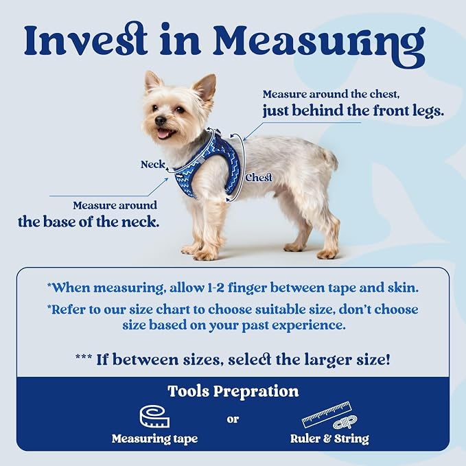 rabbitgoo Step-in Small Dog Harness, Puppy Vest for Small Medium Sized Pet | Easy Put on and off, Lightweight, Soft, Breathable Quick-Dry Air Mesh for Comfortable Secure Walking, Blue Zigzag L - Image 2