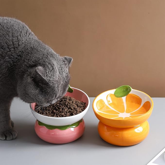 Ceramic Raised Cat Bowl, Pink, Strawberry Shaped | Elevated Food Bowl, Indoor Cats, Anti-Vomiting & Spine Protection, Cute Tilted Pet Dish, For Flat-Faced Cats and Kittens - Image 5