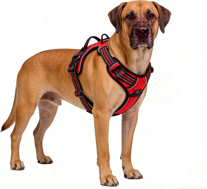 Red No-Pull Dog Harness with 2 Leash Clips，Soft Padded Vest for Large Dog, Adjustable Reflective Dog Vest Easy to Put on and Take Off,Neck: 18"~26", Chest: 25"~34",Red XL by Unknown
