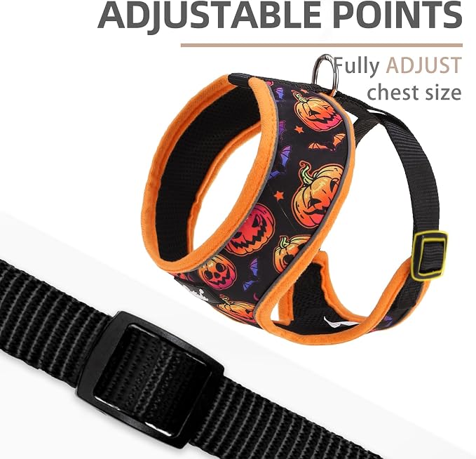 PUPTECK Small Dog Harness and Leash Set No Pull for XS XXS Sized Dogs Puppy | Escape Proof No Choke Pet Cat Adjustable Soft Padded Walking Vest - Image 3