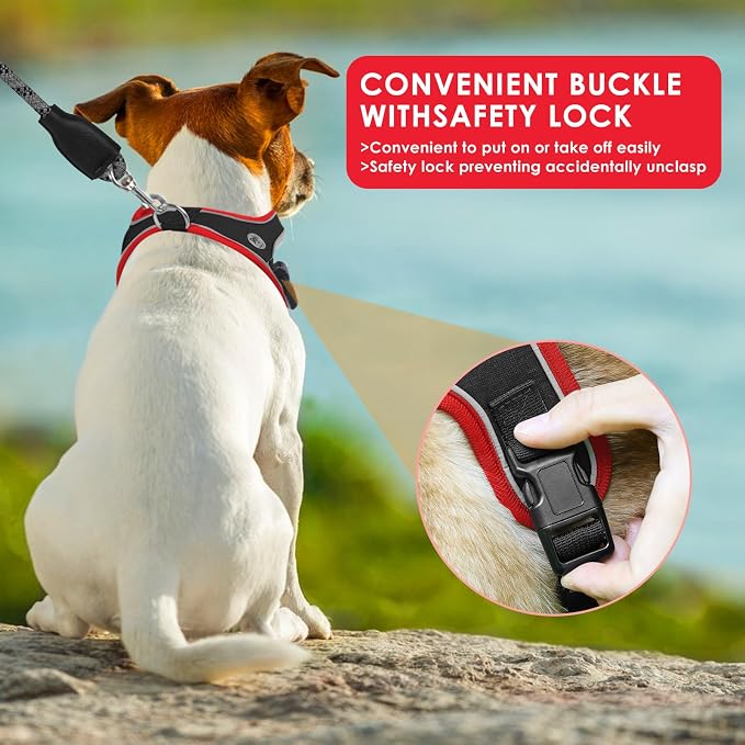 Dog Harness and Leash Set, No Pull Saddle Style Pet Harness, Breathable Mesh Adjustable Reflective Dog Vest for Medium Small Dogs Harness 2 D-Rings, Black, XS - Image 5