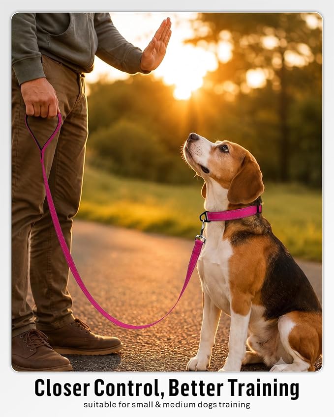 FunTags Reflective Nylon Dog Leash for Small & Medium Dogs, 4FT Training | Comfortable Padded Grip, Stay Safe at Night, 360° Anti-Tangle Swivel, for Dog Parks & Trails, Hot Pink - Image 5