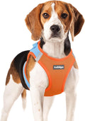 rabbitgoo Step-in Small Dog Harness, Puppy Vest for Small Medium Sized Pet | Easy Put on and off, Lightweight, Soft, Breathable Quick-Dry Air Mesh for Comfortable Secure Walking, Blue & Orange XL by rabbitgoo