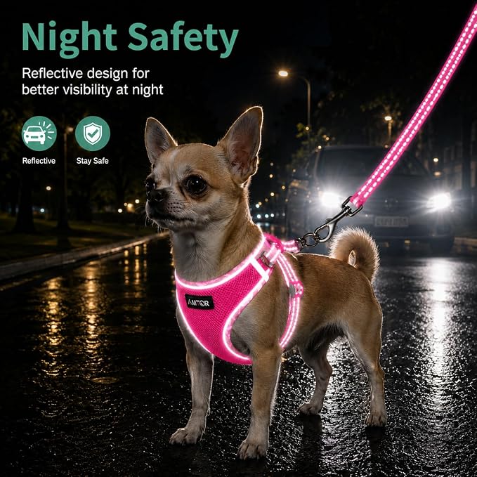 AMTOR Small Dog Harness with Leash Set, No Escape Easy Walk Puppy Harnesses for Training Walking, Step-in Reflective Soft Dogs Vest for XS S Medium Extra-Small Large Sized Dog(Fuchsia,XS) - Image 5