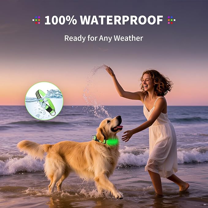 Light Up Dog Collar for Night Walking, Reflective LED Collar(Green, Medium) | Bright Safety Glow in the Dark, Adjustable Comfort Fit, Waterproof, Long Runtime, Easy USB-C Charging - Image 6