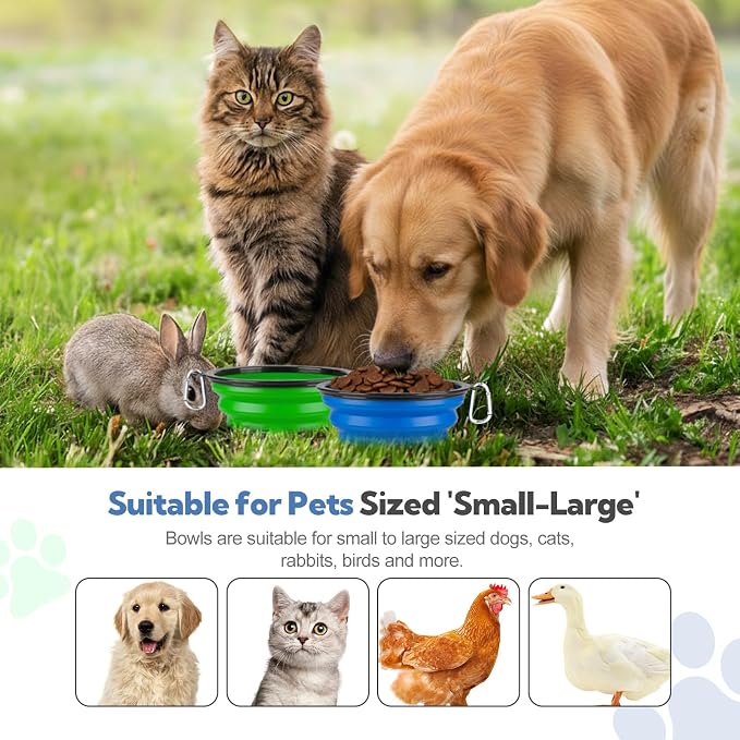 Collapsible Dog Bowl Large 34oz, Travel Dog Water Bowl Portable | 2 Pack, 2 Carabiner Clips, Silicone Travel Dog Bowl Foldable, Feeding Watering Dish Bowl, for Parking, Walking, Camping - Image 2