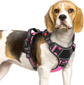 Eagloo Dog Harness No Pull for Small Dogs, Easy On & Off with 3 Buckles | No Choke with Front Clip, Adjustable Fit, MOLLE System, Reflective Vest, Easy Control for Walking, Pink & Black, Small by GoExplorewithEagloo
