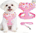 EXPAWLORER Step-in Dog Harness Small Sized and Leash Set | Cute Small Dog Harness No Pull Girl, Breathable Soft Mesh Padded, Adjustable Light Puppy Vest for Dogs Cats, Floral S by EXPAWLORER
