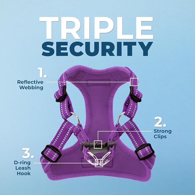 Best Pet Supplies Voyager Adjustable Step-in Flex Breathable Mesh Dog Harness for Small Medium Large Dogs Leash Set (Purple), S - Image 2