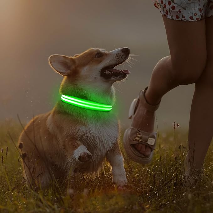 Illumifun Light Up Dog Collar, Rechargeable LED Dog Collar Glow in The Dark, High Visibility Collars Light for Pet Walking at Night (Green, Large) - Image 5