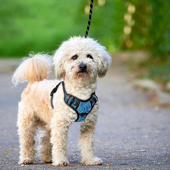 BARKBAY No Pull Dog Harness Large Reflective Dog Harness with Front Clip and Easy Control Handle for Walking Training Running with ID tag Pocket(Blue/Black,S) - Image 9