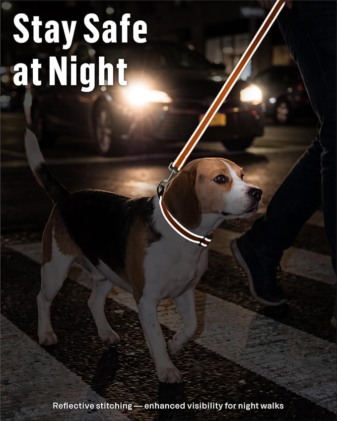 FunTags Reflective Nylon Dog Leash for Small & Medium Dogs, 4FT Training | Comfortable Padded Grip, Stay Safe at Night, 360° Anti-Tangle Swivel, for Dog Parks & Trails, Orange - Image 3