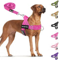 SlowTon No Pull Dog Harness with Front Clip - Heavy Duty, Soft Padded | Neck & Chest Adjustable, Tactical Pet Vest and Leash Set for Large Medium Sized Dogs, for Easy Walk & Training, Fuchsia S by SlowTon