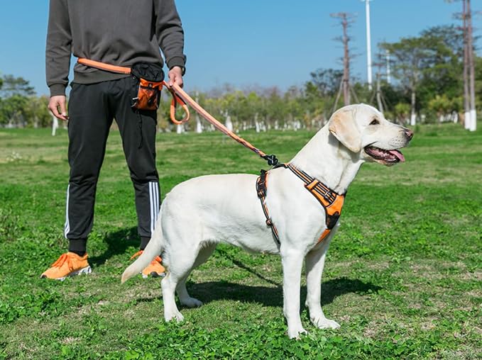 TRUE LOVE Adjustable No-Pull Dog Harness Reflective Vest, Orange, XS | Front Clip, No-Choke, Soft Padded, Control Handle, Anti Escape, Dog Car Harness, Walking and Training, Escape Proof, TLH5651 - Image 6