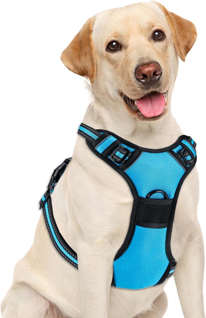 No Pull Dog Harness, Adjustable Reflective Front Clip Pet Vest with Easy Control Handle for Medium Large Dogs (Blue,L) by Unknown