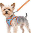 rabbitgoo Dog Harness Small Sized and Leash Set, Step in Soft Vest | Breathable Mesh, Easy Wear with Hook & Loop, Light and Reflective for Walking, Multi-colored, Blue & Orange, XS by rabbitgoo